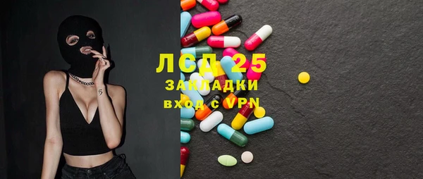 шишки Верея