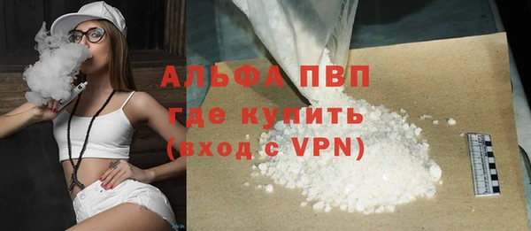 шишки Верея
