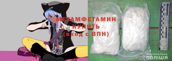 шишки Верея