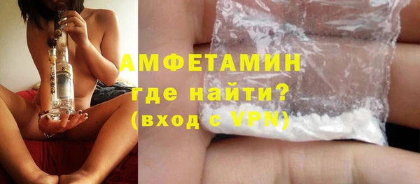 шишки Верея