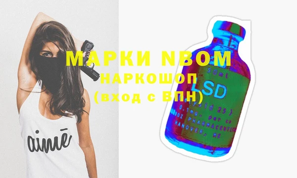 шишки Верея
