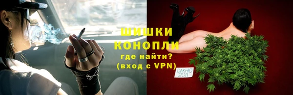 шишки Верея