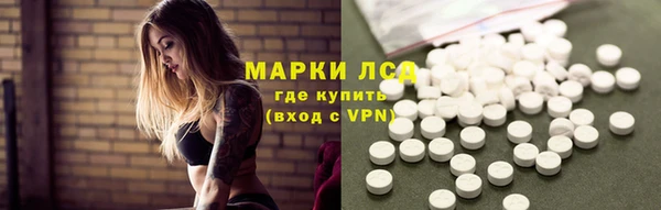 индика Верхний Тагил