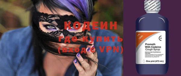 индика Верхний Тагил