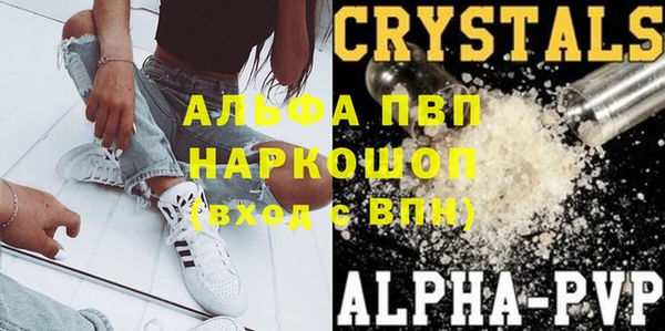 индика Верхний Тагил