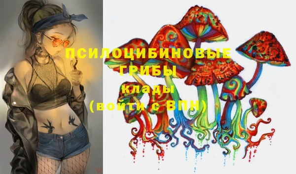 шишки Верея
