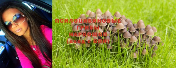 индика Верхний Тагил