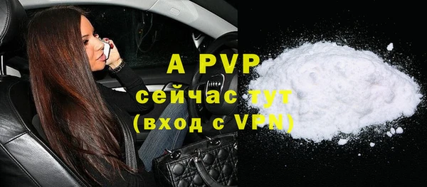 шишки Верея