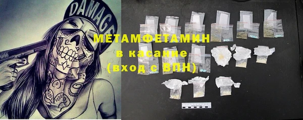 шишки Верея