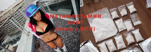 индика Верхний Тагил