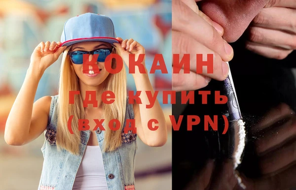 шишки Верея