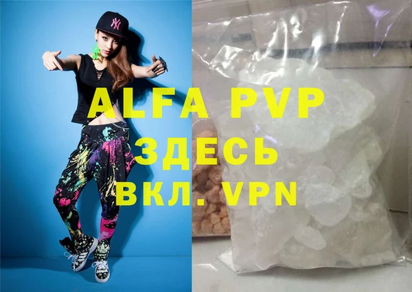 индика Верхний Тагил