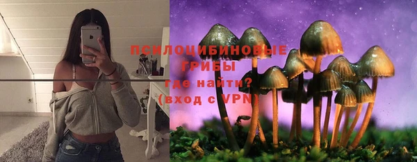 индика Верхний Тагил