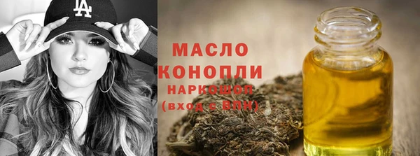 индика Верхний Тагил